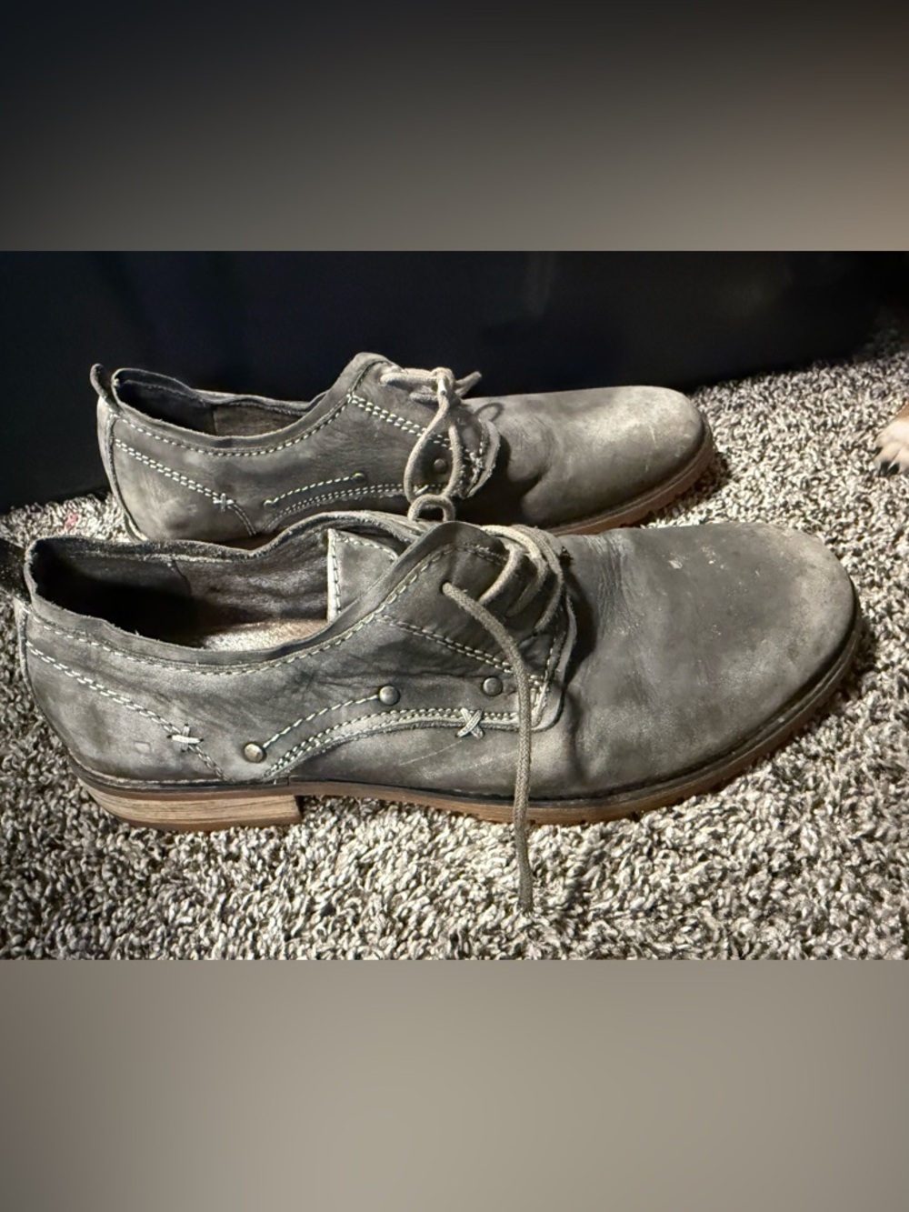 Bed Stu Men's Lace-Up Oxfords in Gray